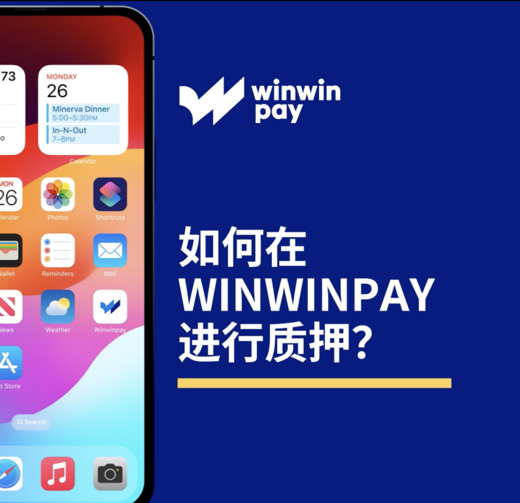 如何在 Winwinpay 進行質押