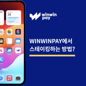 Winwinpay에서 스테이킹하는 방법